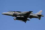 Harrier GR.9