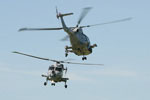 702NAS / Black Cats Lynx duo (HAS.3 + HMA.8)