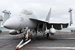 VAQ-141 EA-18G Growler