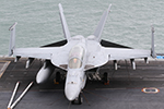 VFA-213 F/A-18F Super Hornet