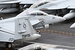 VFA-213 F/A-18F Super Hornet