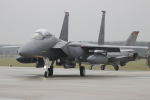 494th FS F-15E Strike Eagle