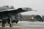 81st FS A-10A Thunderbolt II