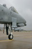 81st FS A-10A Thunderbolt II