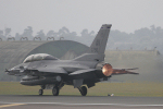 510th FS F-16DG Fighting Falcon