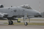 81st FS A-10A Thunderbolt II