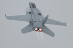 F/A-18F Super Hornet