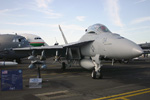 F/A-18F Super Hornet