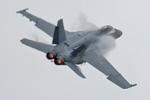 F/A-18F Super Hornet