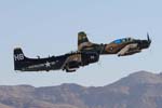 Skyraider pair