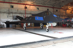 49FW F-117A Nighthawk