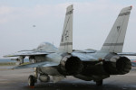 Gypsy 111, F-14B Tomcat