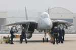 Gypsy 115, F-14B Tomcat