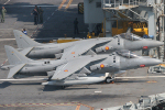 9 Esc EAV-8B Harrier II+s