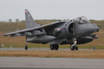 Harrier GR.7